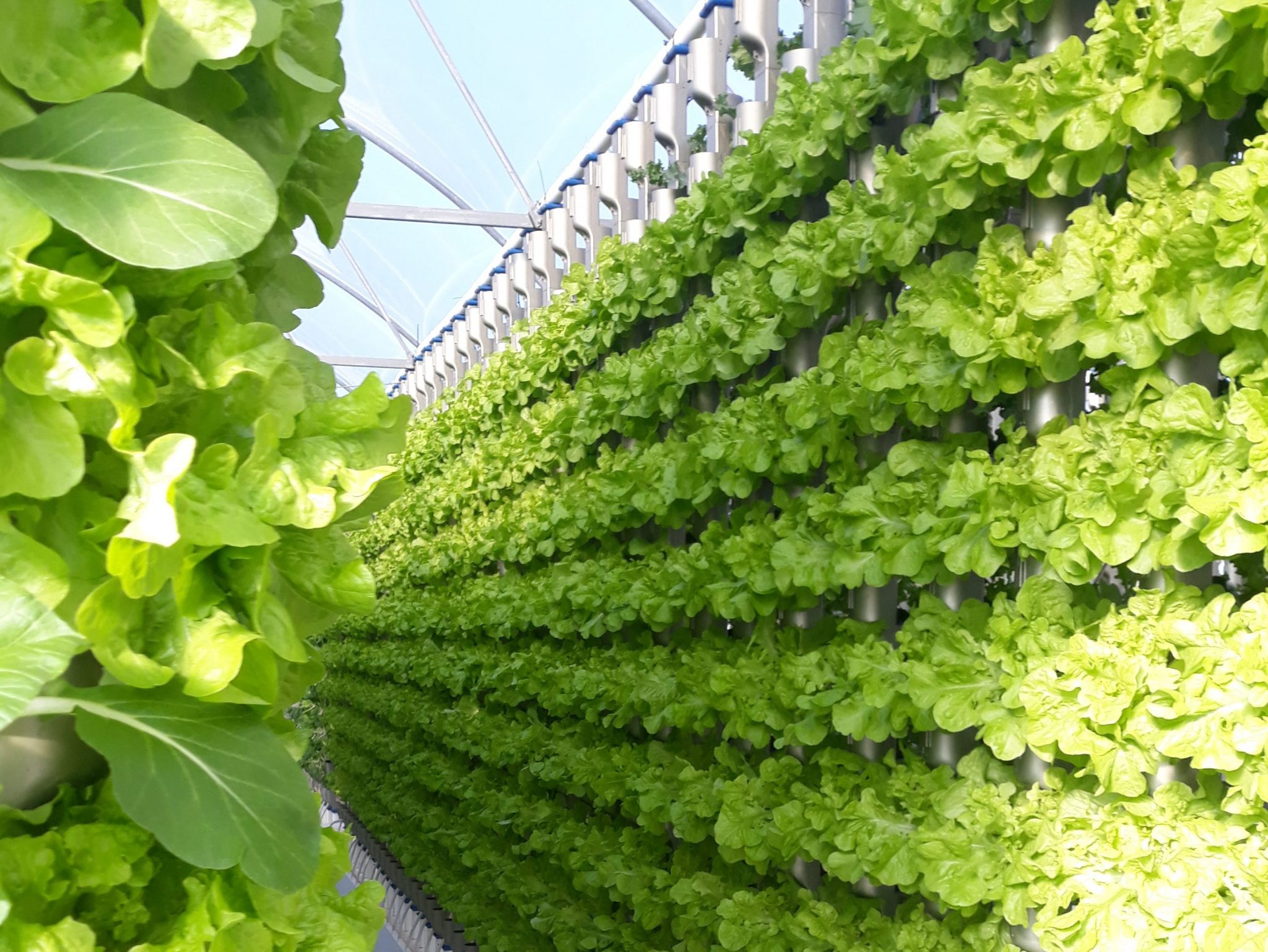 Vertical Farming World Congress 2021 - Future Food Systems