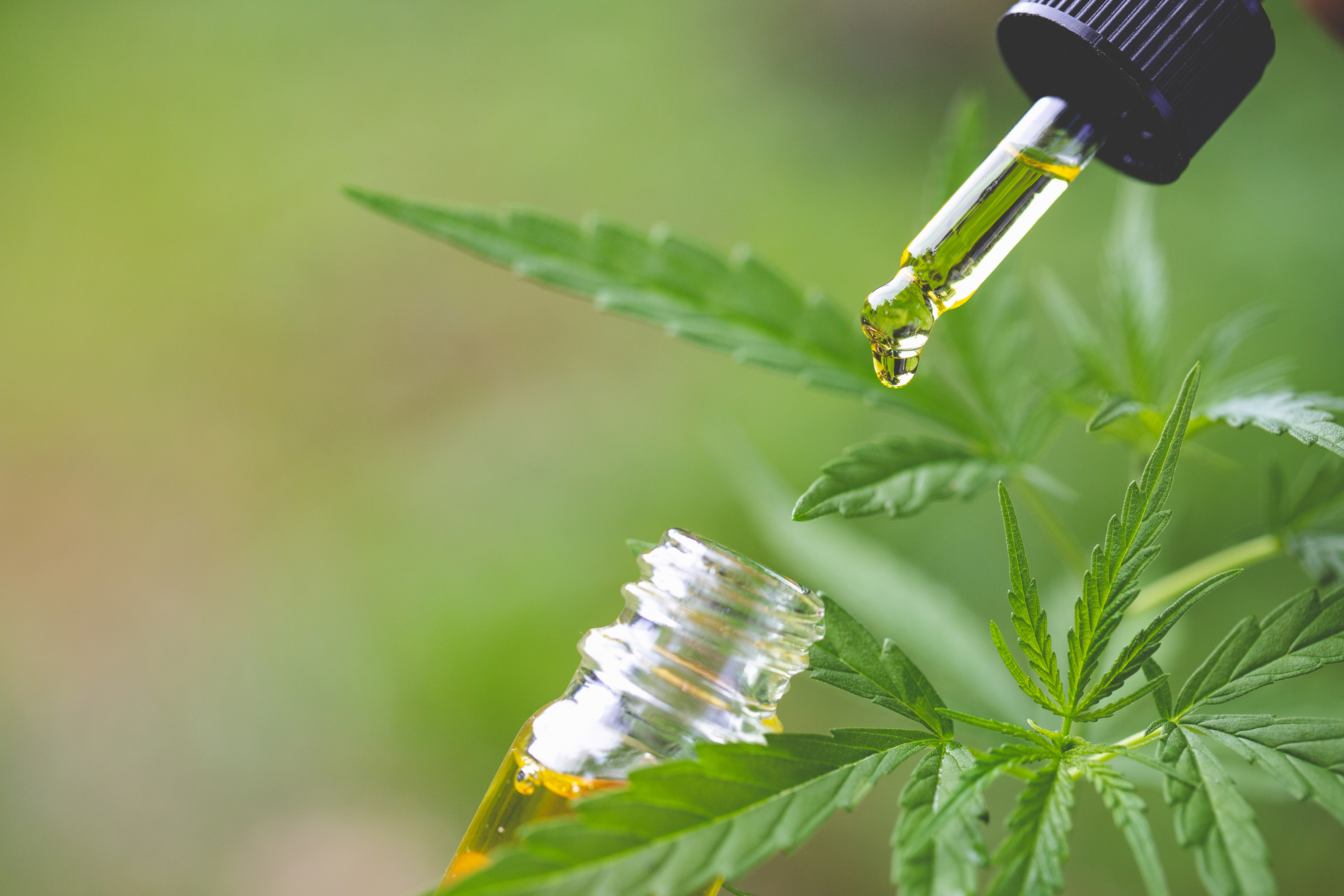 What does the science say about hemp and CBD?