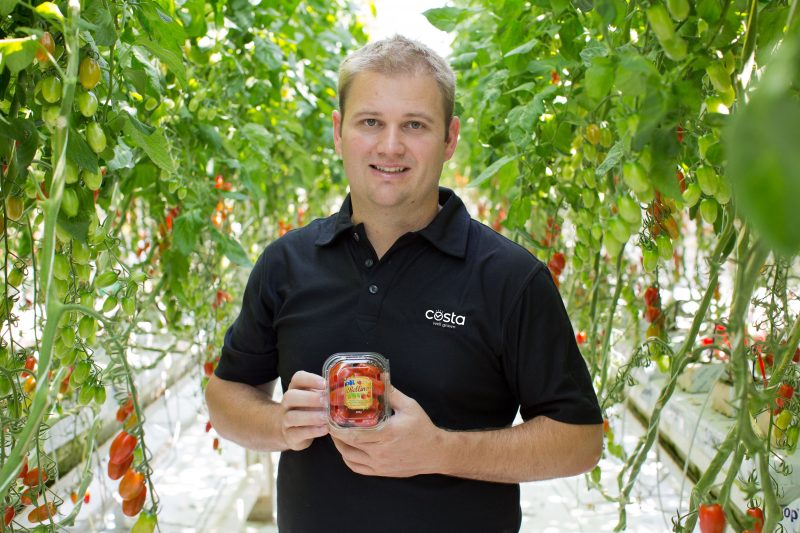 Optimising CO<sub>2</sub> use to boost tomato yield, cut inputs