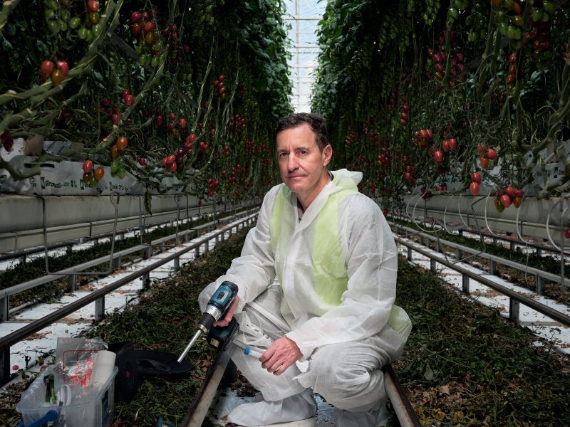 Phil Thomas: Seeking the microbial edge in hydroponic tomatoes