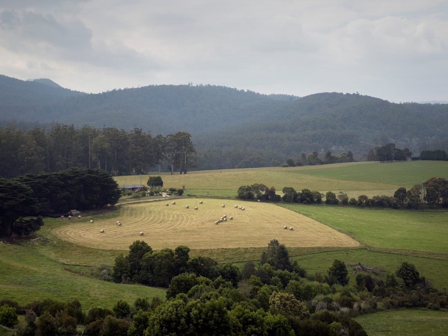 what-s-your-food-or-fibre-challenge-gippsland-future-food-systems