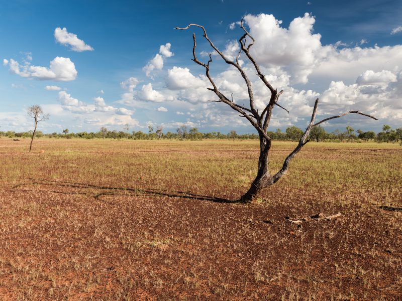 A hub for drought resilience innovation in the Top End