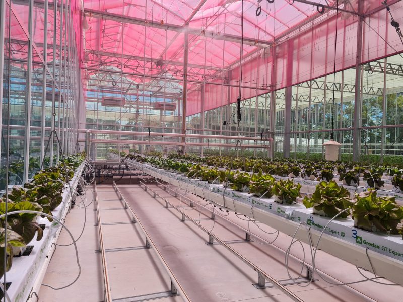 CRC indoor-cropping projects feature on ABC Landline