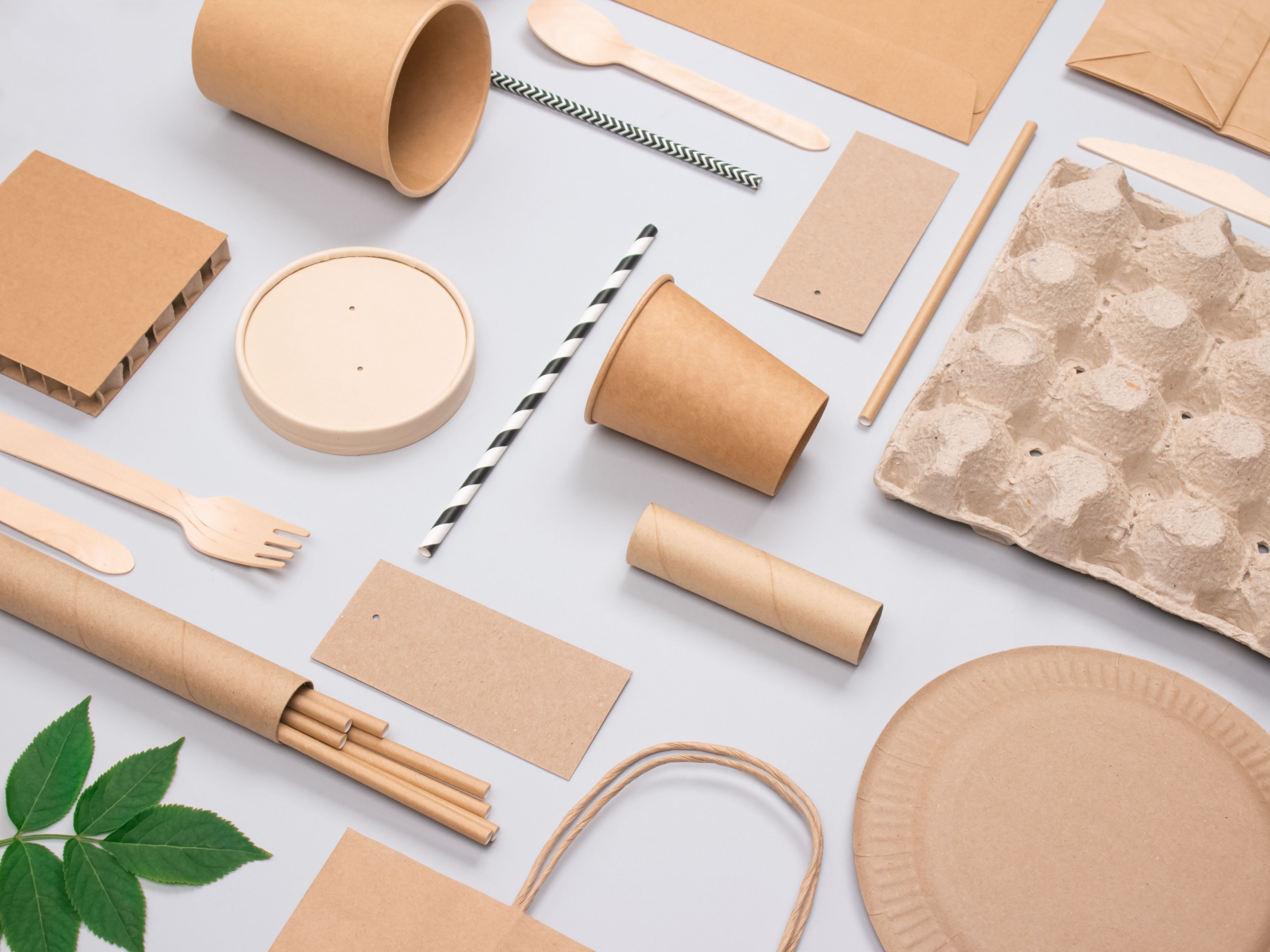 Sustainable Packaging & Design for SMEs