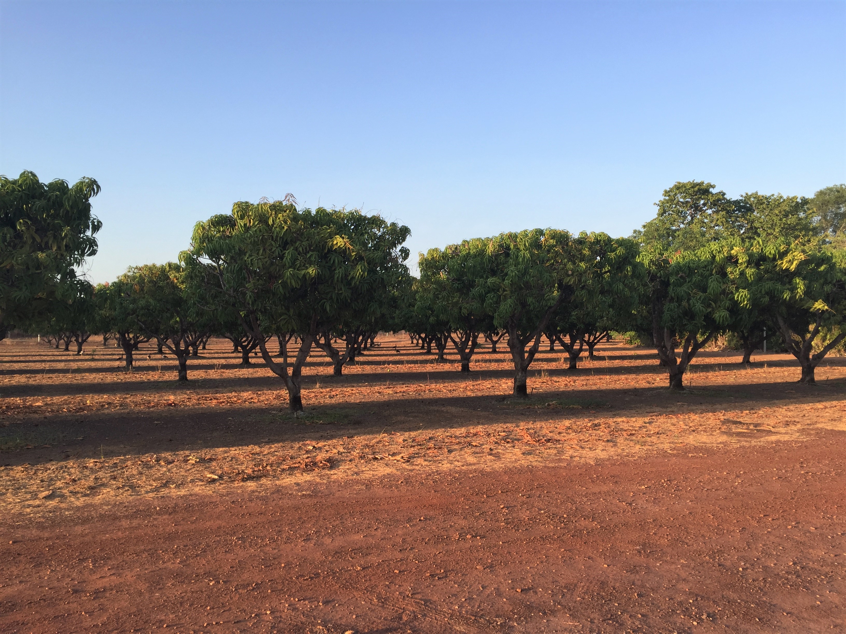 Northern Australia Food Futures Conference 2021