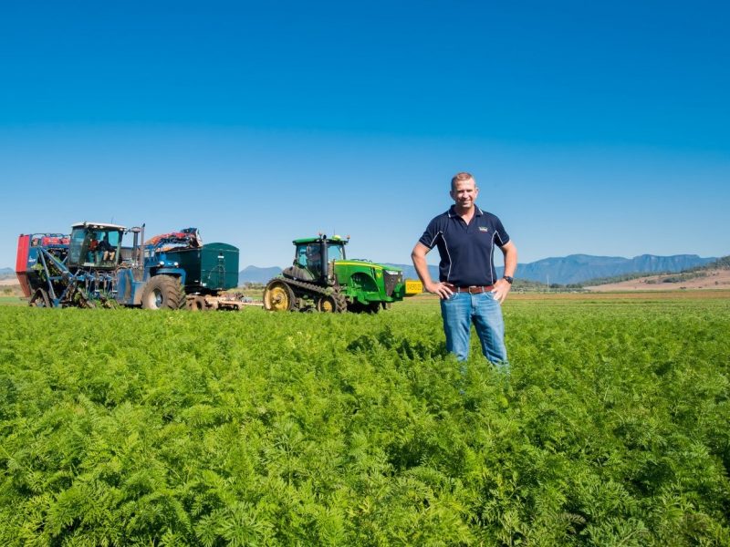 Fifth-gen vegie grower’s global e-sales nets him Hort Innovation’s Exporter of the Year