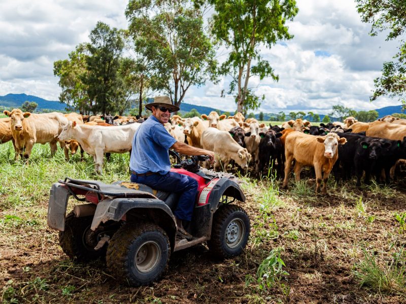 Have your say on the future of farming in NSW