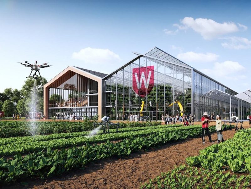 WSU commits to future jobs, skills and research growth with state-of-the-art Agri-Tech Hub vision launch
