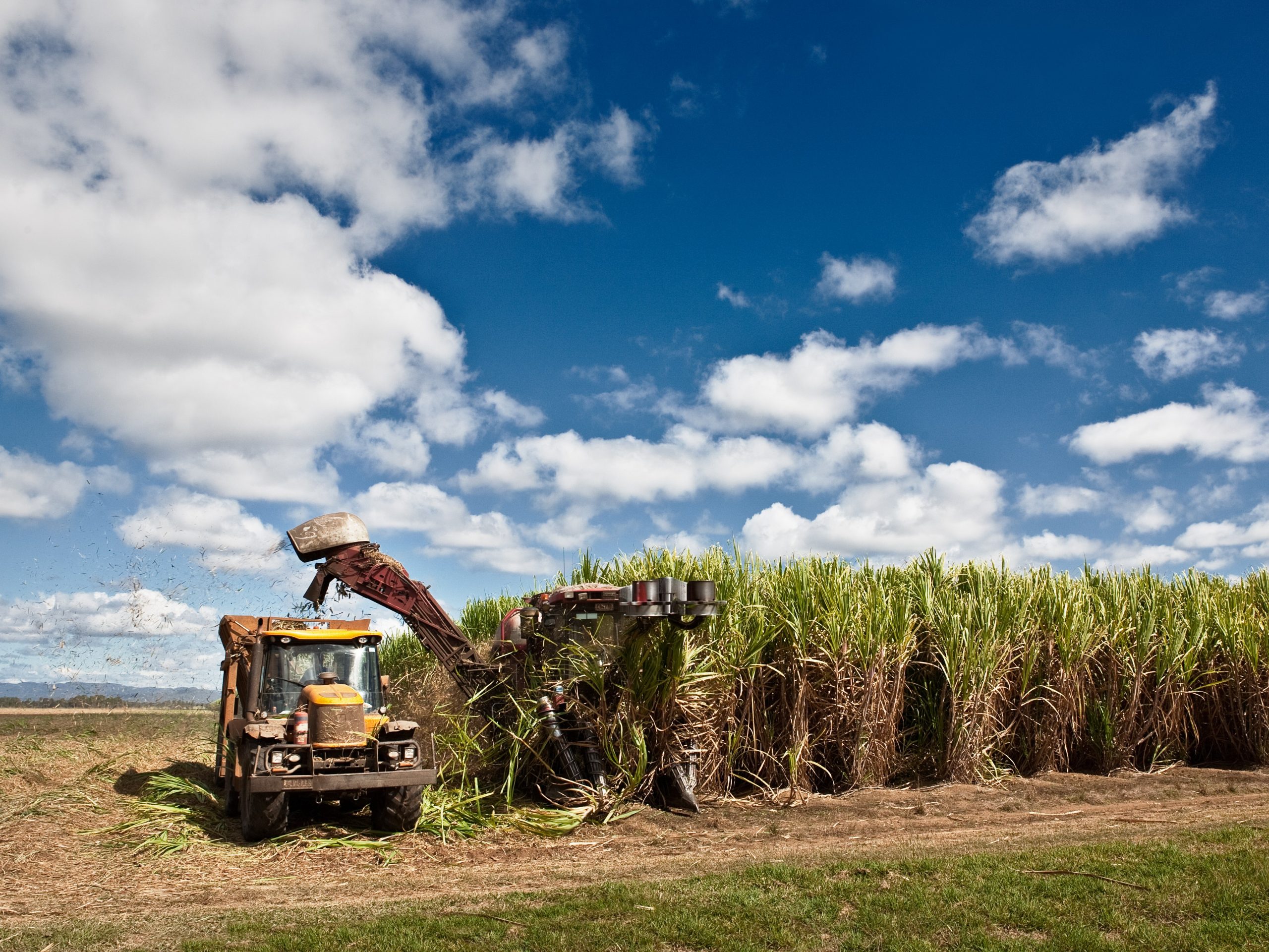 world-s-first-alternative-sugarcane-processing-facility-tipped-for