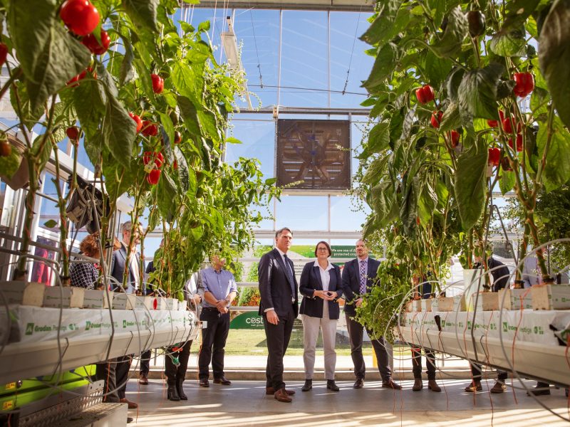 Labor makes $16.7m commitment to state-of-the-art Agri Tech Hub at Western Sydney University