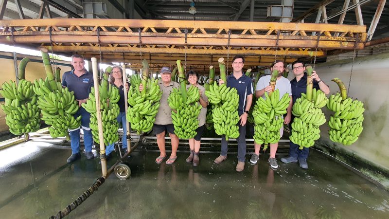 QUT Robotics experts to help Queensland’s banana farmers automate