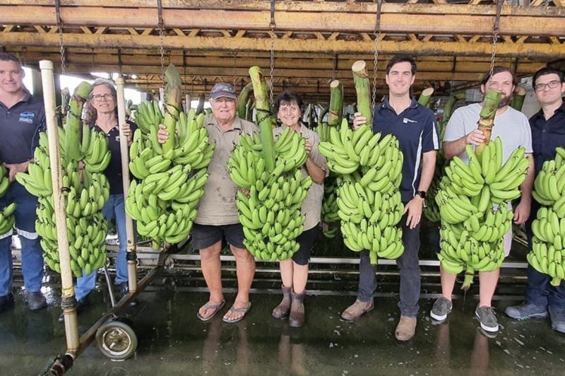 QUT Robotics experts to help Queensland’s banana farmers automate