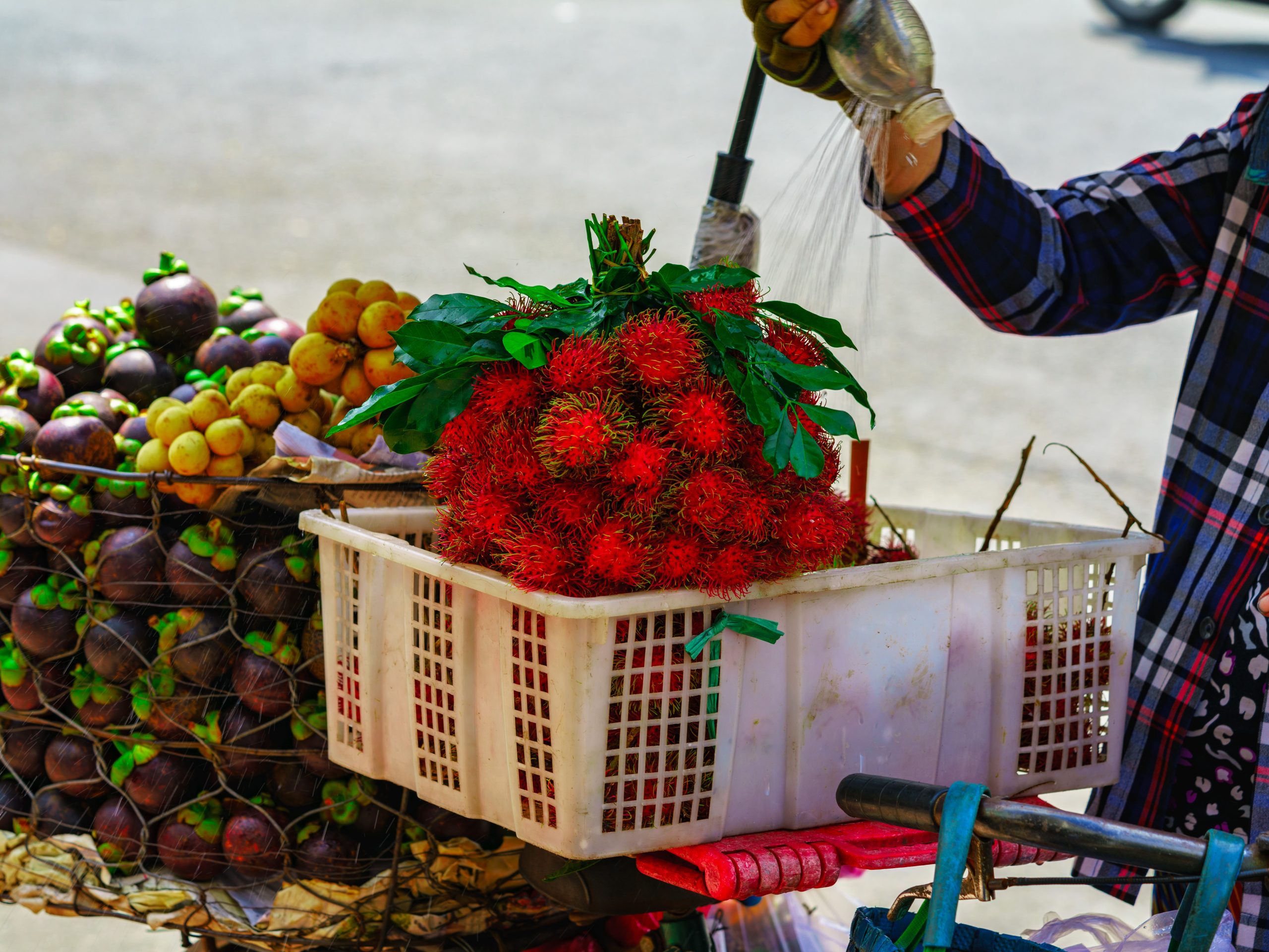 Vietnam Food and Beverage Insights Tour