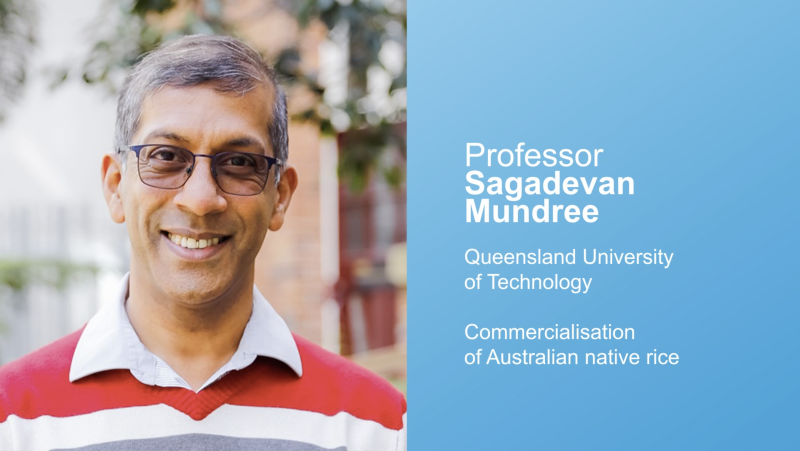 Commercialisation of Australian native rice – Prof. Sagadevan G. Mundree