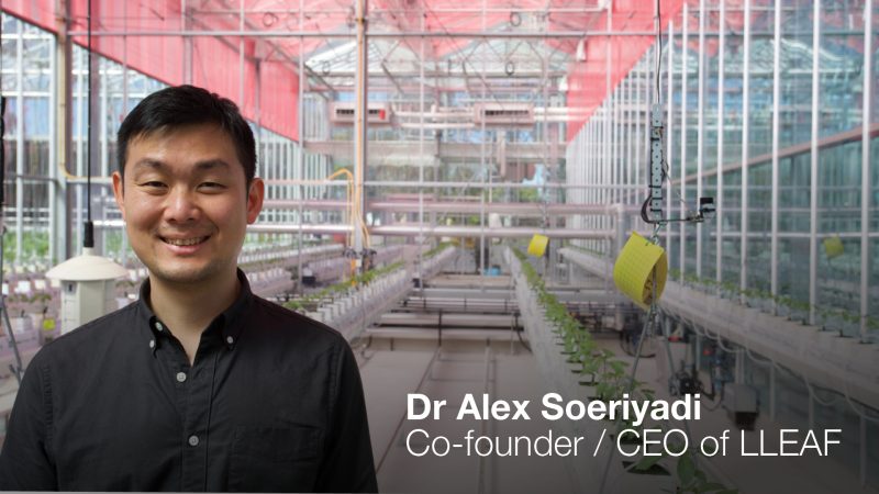 Dr Alex Soeriyadi – LLEAF