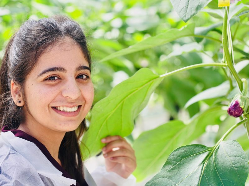 Sonali Koundal, PhD student: Finding sustainable ways to fertigate glasshouse-grown veggie crops