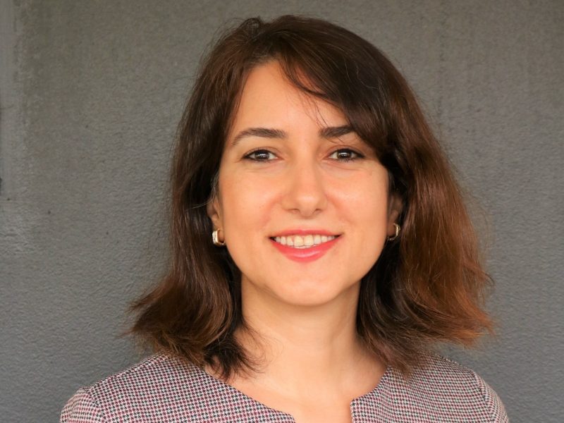 Meet Elnaz Irannezhad: freight transport and logistics expert