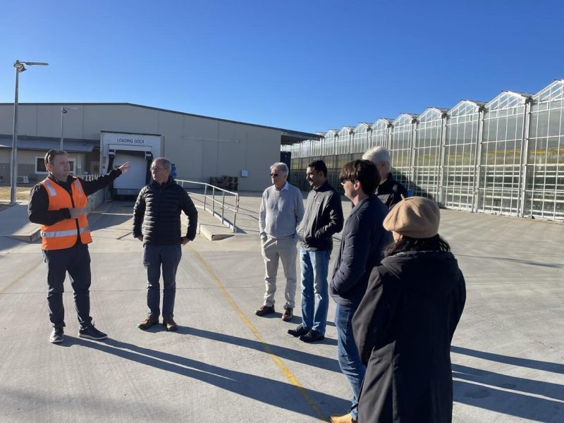 FFS team visits UNE and Costa’s 40ha glasshouse