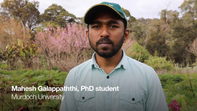 Mahesh Galappaththi, PhD student