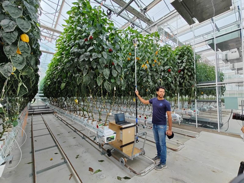 FFS PhD student finds cost-effective hands-free way to estimate plant height in protected cropping facilities