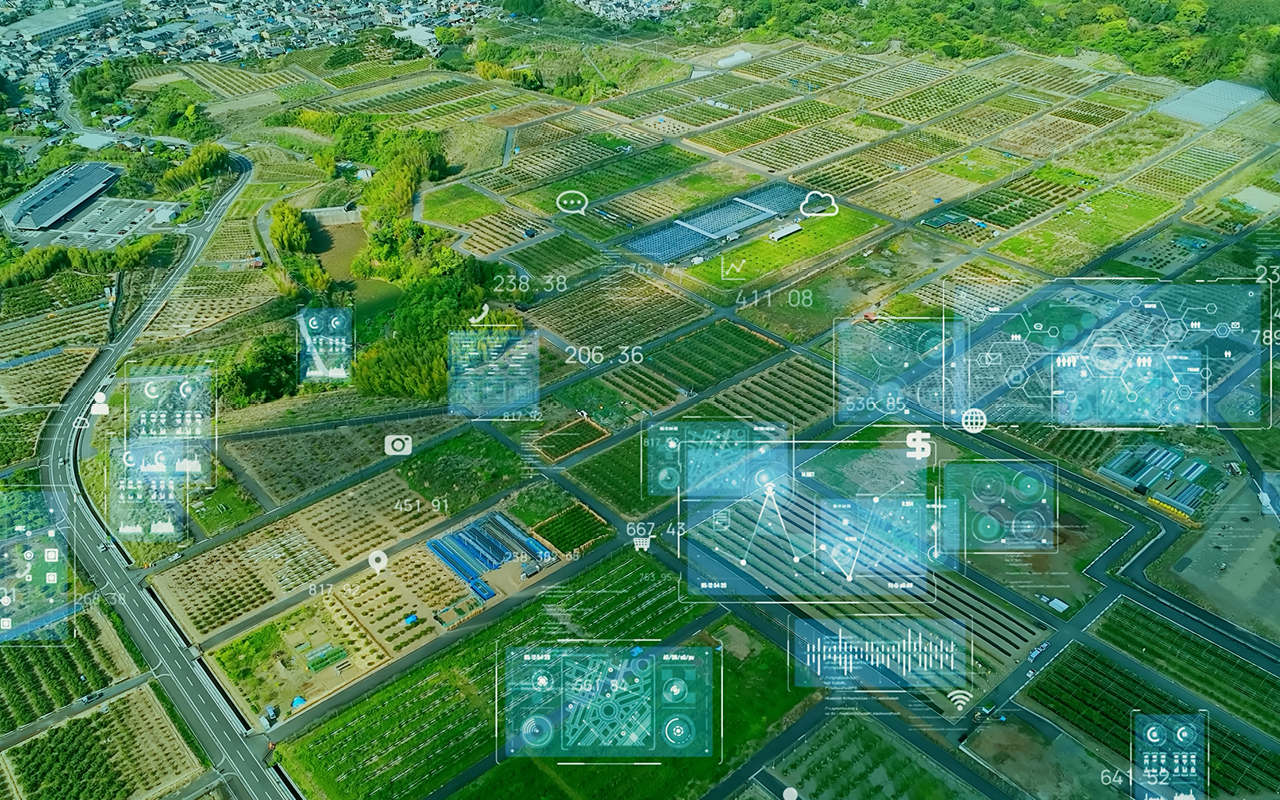 Transitional agrifood system drivers