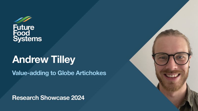 Andrew Tilley – Value-adding to Globe Artichokes (Research Showcase 2024)