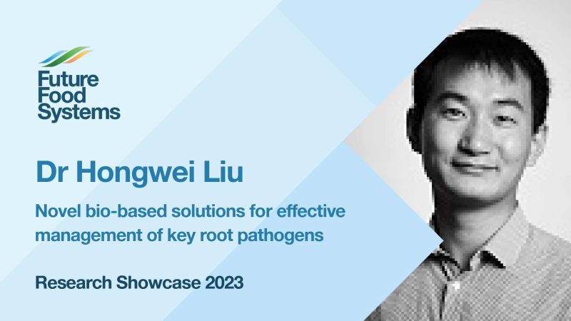 Dr Hongwei Liu – Novel bio-based solutions for effective management of key root pathogens (FFS Research Showcase 2023)