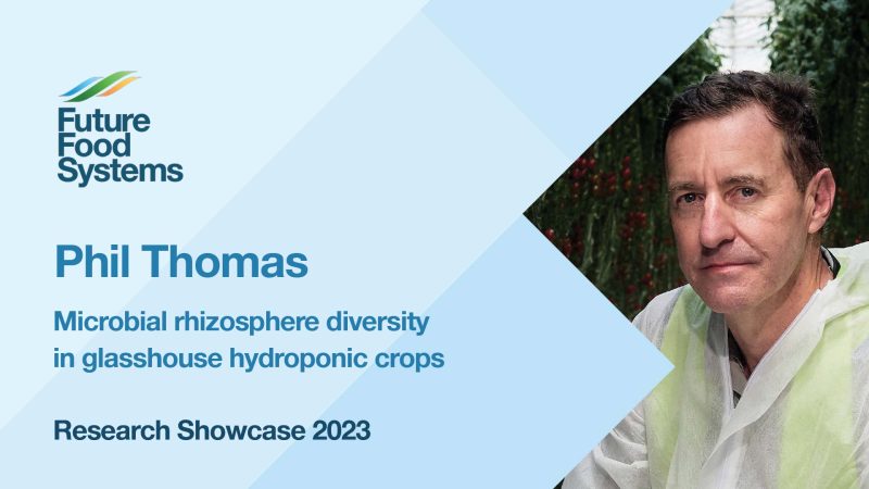 Phil Thomas – Microbial rhizosphere diversity in glasshouse hydroponic crops (FFS Research Showcase 2023)