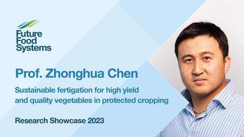 Prof. Zhonghua Chen – Sustainable fertigation for high yield and quality vegetables in PC (FFS Research Showcase 2023)