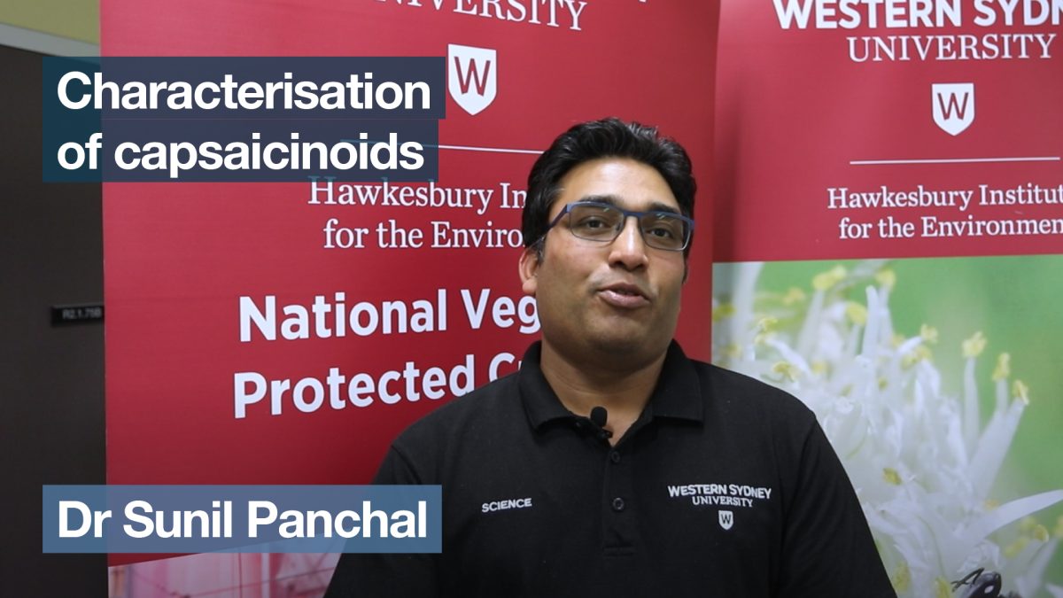 ‘Characterisation of capsaicinoids’ with Dr Sunil Panchal